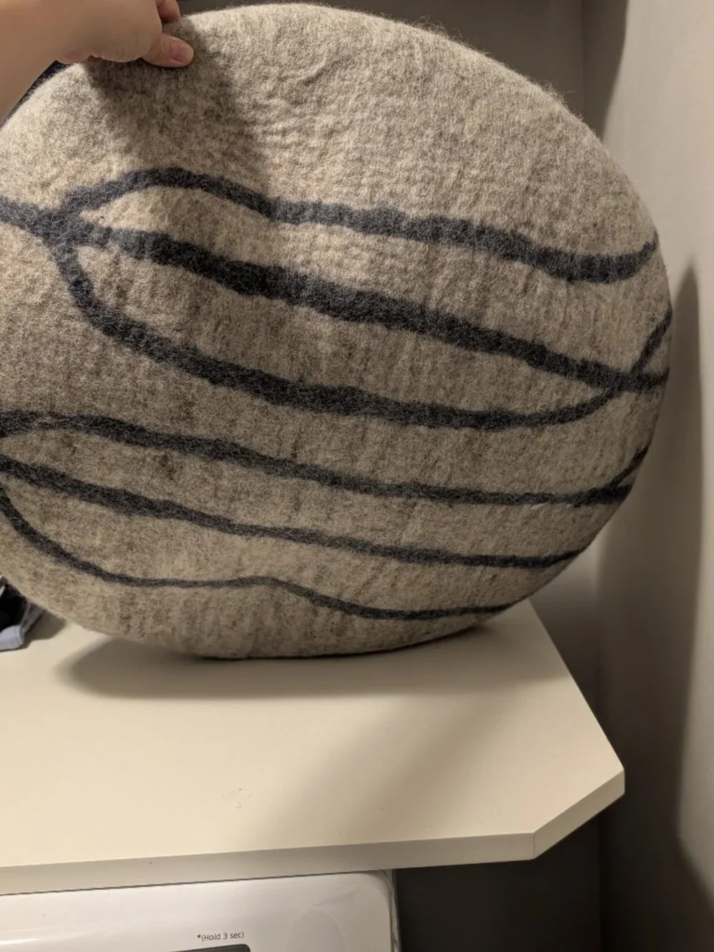Cat Pod